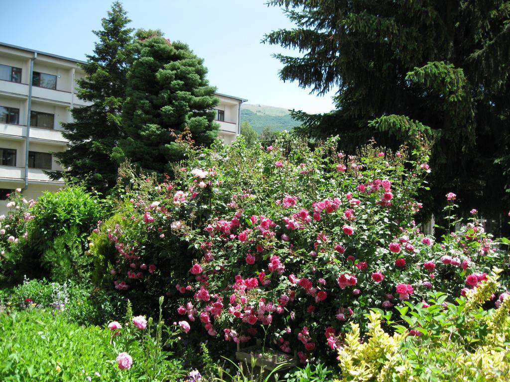 Villa Jordan Ohrid Exterior foto